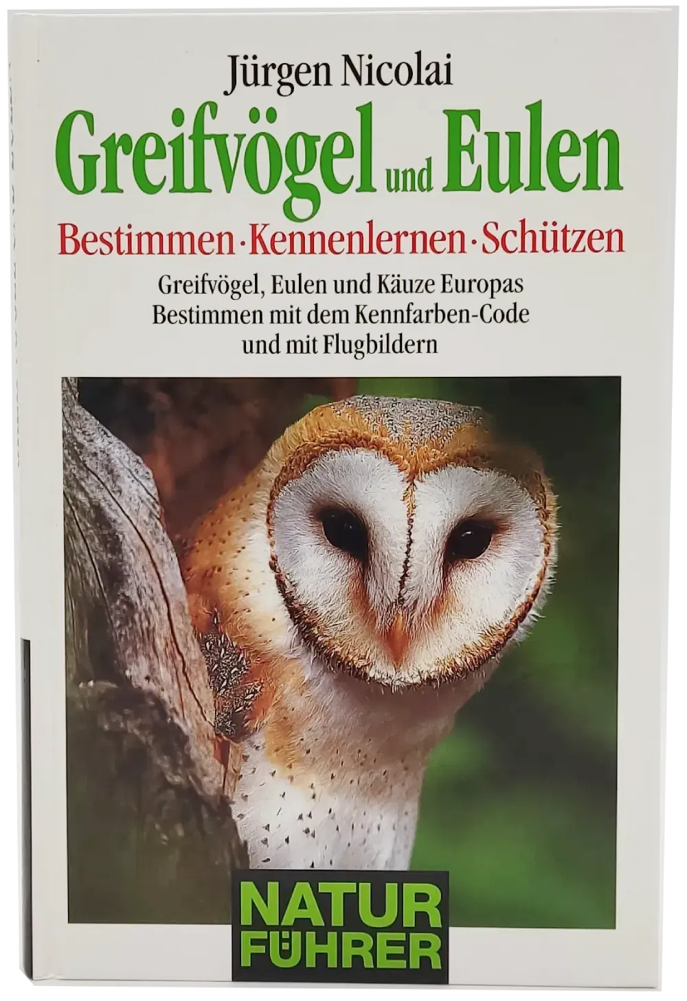 Buch 