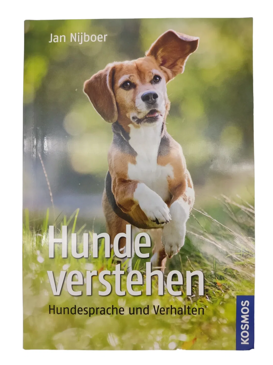 Hunde verstehen - Hundesprache und Verhalten - Bild 1