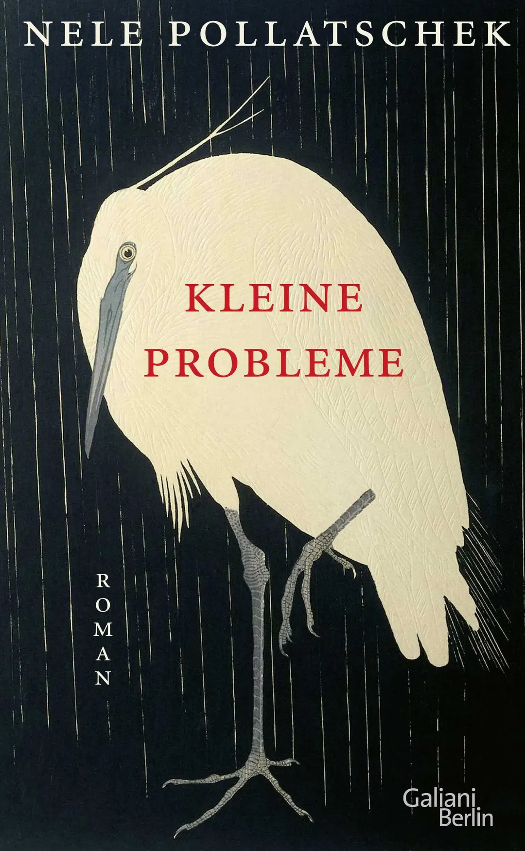 Kleine Probleme - Nele Pollatschek - Bild 2