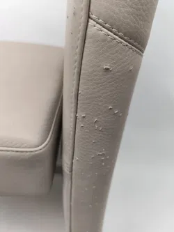 8 Stück Rolf Benz Stühle Leder - Bild 28