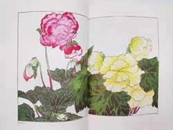 The Plants of 1917 – Vol.3 Summer 1 - Bild 3