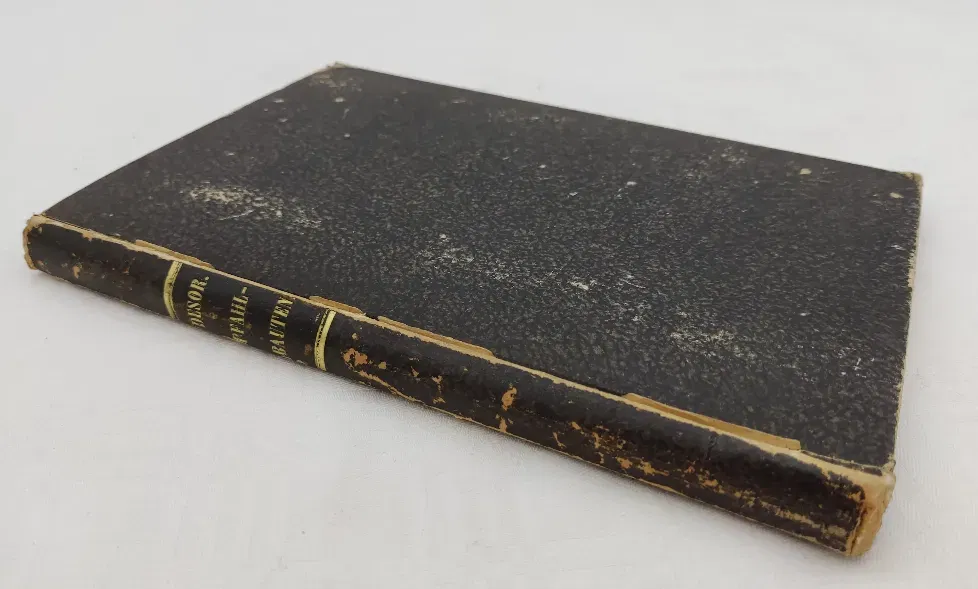 Die Pfahlbauten des Neuenburger Sees - Bild 1