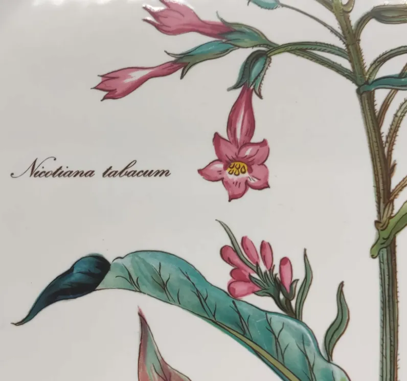 Villeroy & Boch Sammelteller Depuis 1748 Botanica "Nicotiana Tabacum" – Bild 2