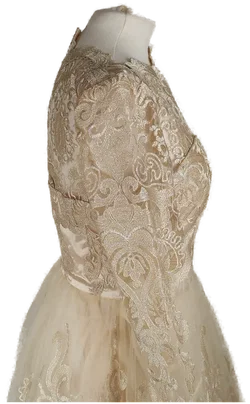 Spitzenkleid Chi Chi London Champagner | Festlicher Charme - Bild 3