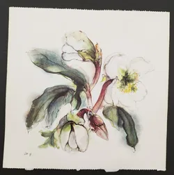 Ellen Gibis: Blumenmalerei - KOPIE - Bild 1