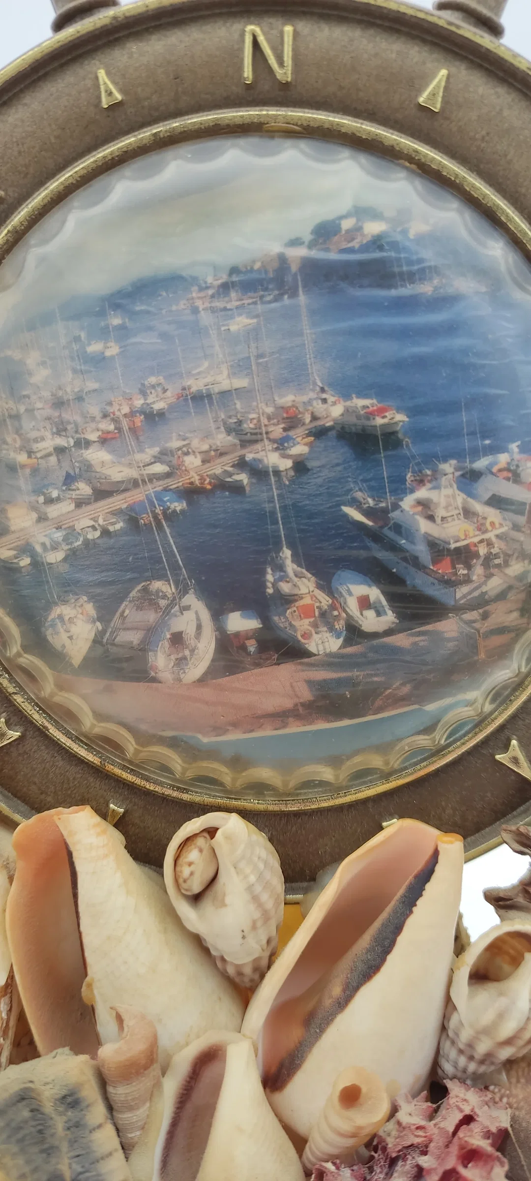 Tischdeko Aus Echten Muscheln | MIt Schönheitsfehler – Bild 2