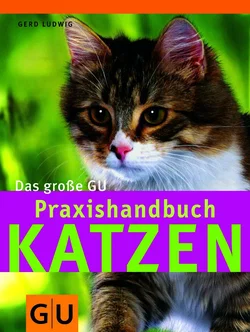Katzen, Das große GU Praxishandbuch - Gerd Ludwig