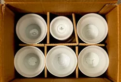  Rüdesheimer Kaffee Tasse mit Untertasse Set 12-teilig Heinrich Porzellan  - Bild 2