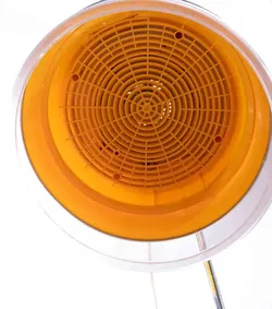 Hornyphon Trockenhaube AXB 300/00 mit Standfuß - Bild 2