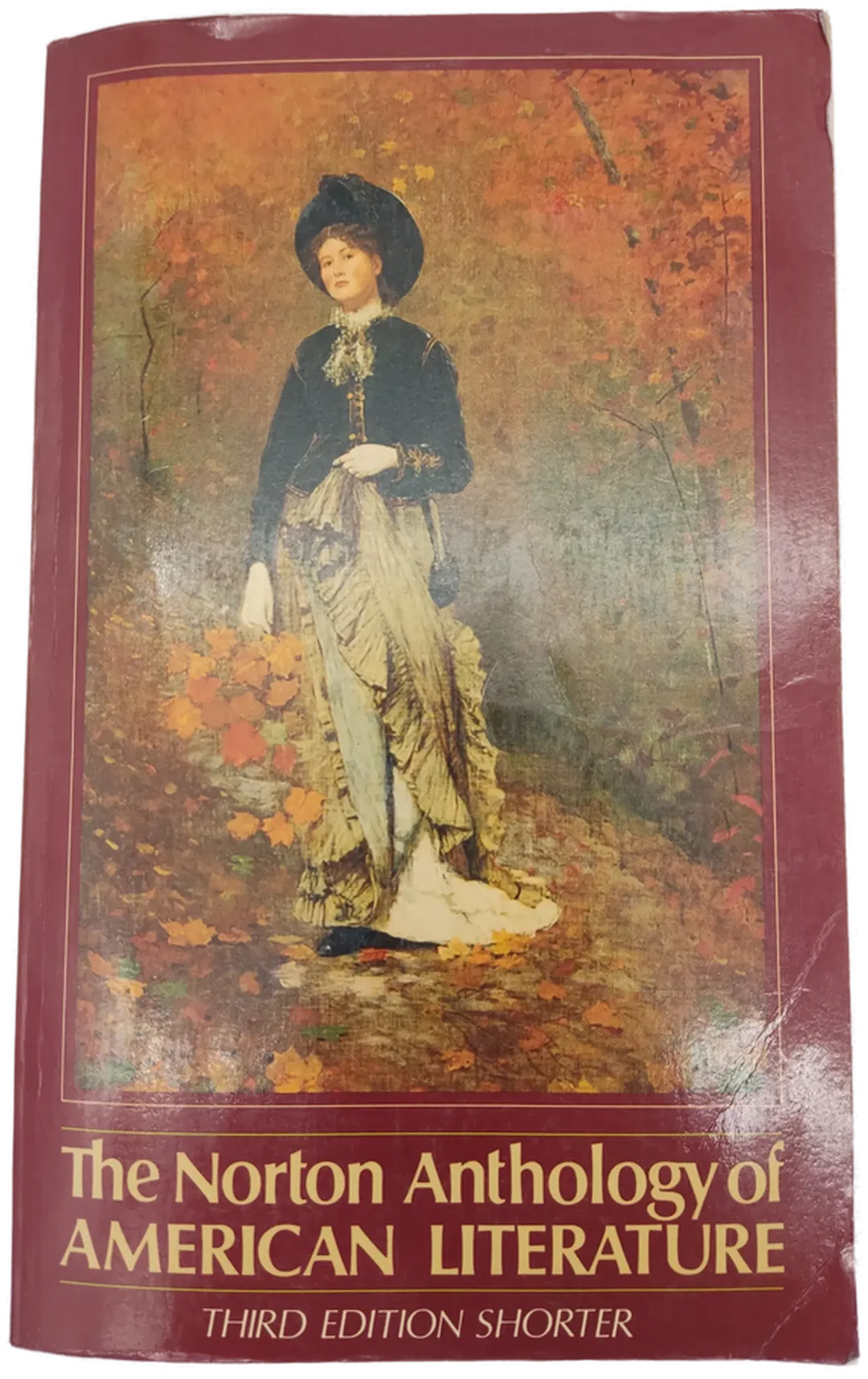 The Norton Anthology Of American Literature- Baym- Gottesman- Holland- Kalstone- Murphy- Parker- Pritchard- Wallace - Bild 2