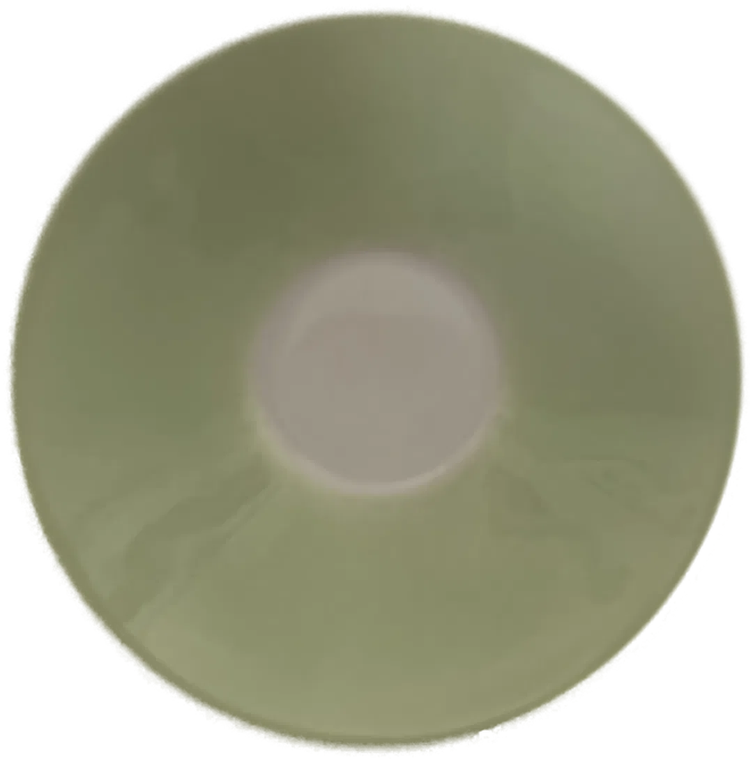 LILIEN PORZELLAN Daisy Original Kaffeeuntertasse grün alt - Bild 1