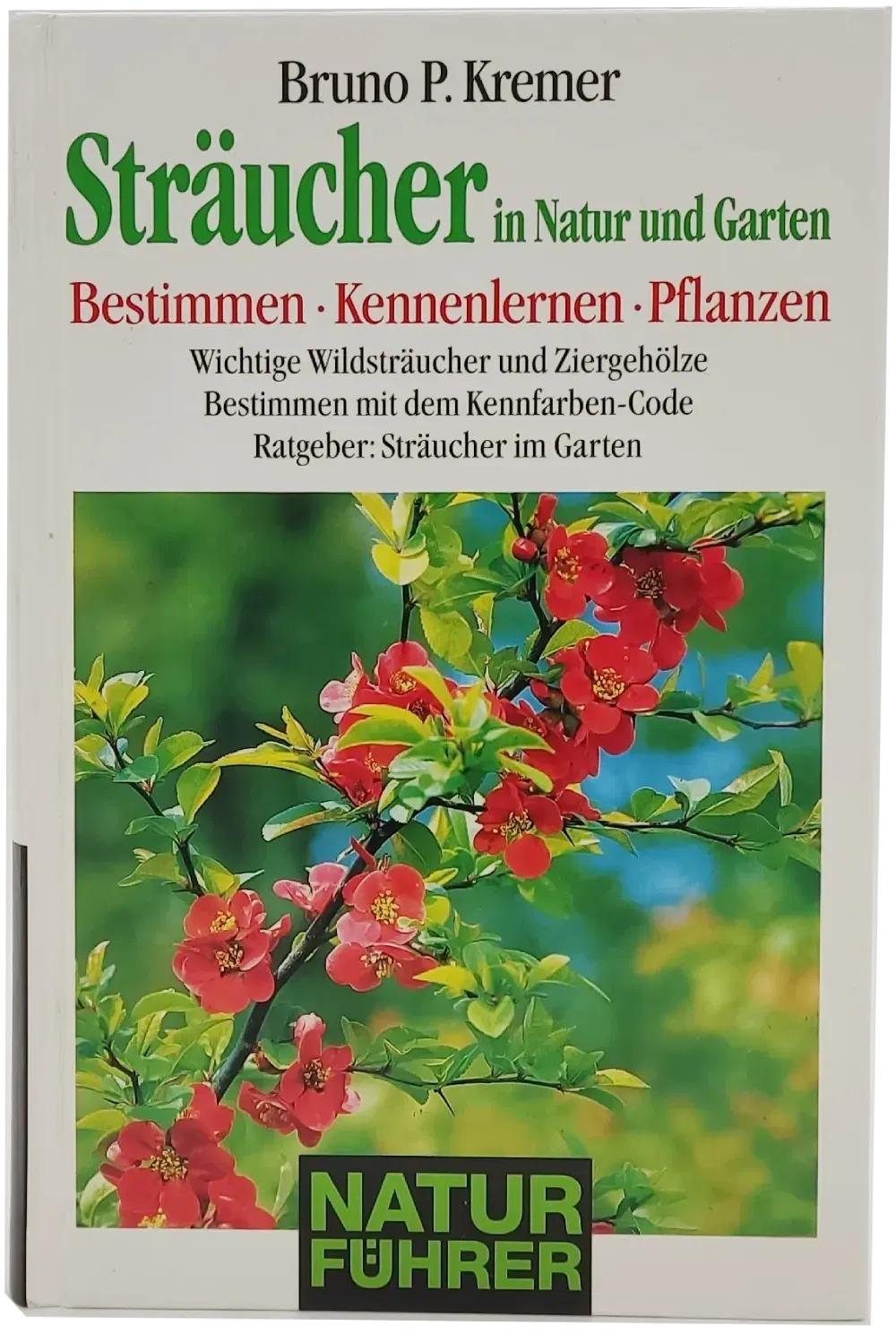 Buch 