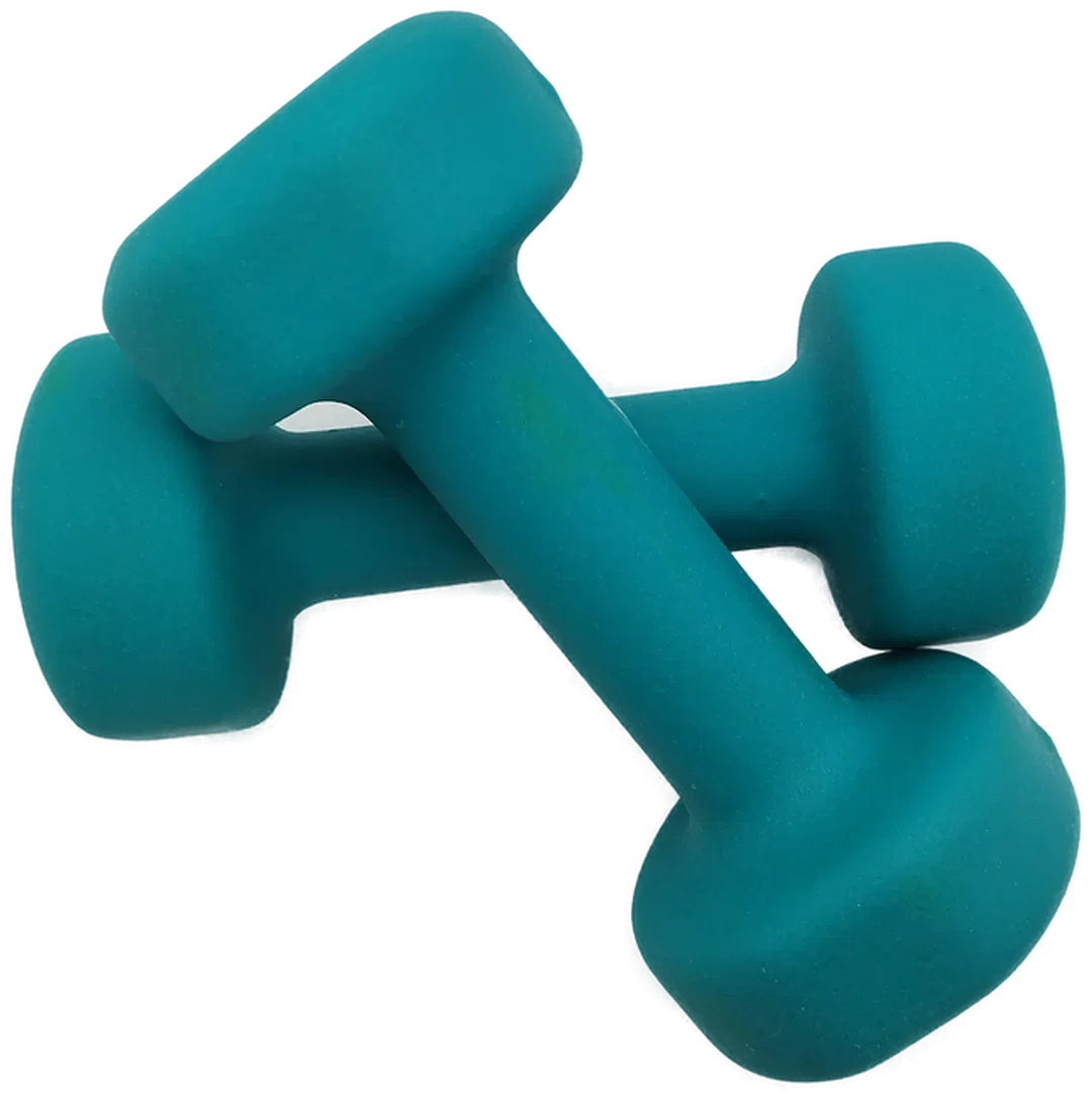 Hanteln Proiron 3 kg | Heimstudio-Begleiter - Bild 1