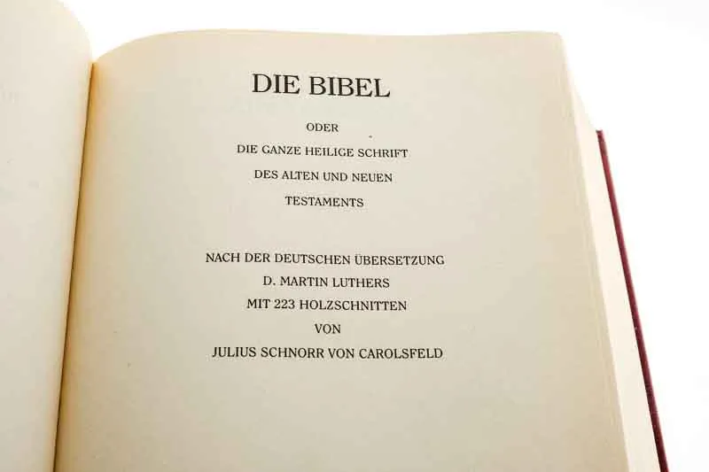 Goldrandbibel mit 223 Abbildungen von Julius Schnorr von Carolsfeld Fassung von 1912 – Bild 5