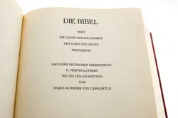 Goldrandbibel mit 223 Abbildungen von Julius Schnorr von Carolsfeld Fassung von 1912 - Bild 5